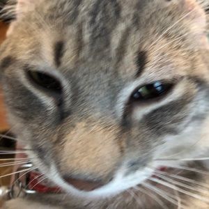 Meet your Posher, Charles